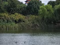-横山水库