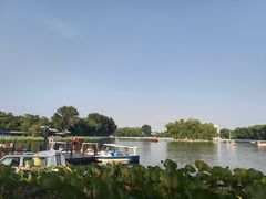 -后海公园