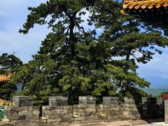 -普乐寺