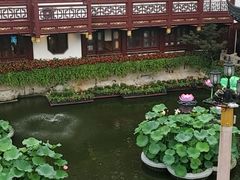 -豫园湖心亭茶楼