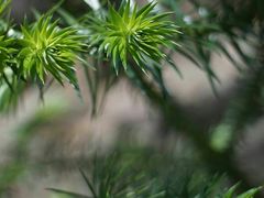 -会稽山峡洞漂流-上青古道