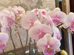 -夏宫中餐厅(香格里拉大酒店)