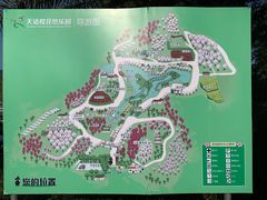 -天适樱花悠乐园