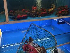 -阿尔法海鲜排档(爱琴海店)