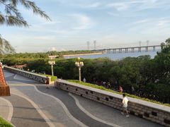 -宝安西湾红树林湿地公园