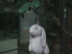 -谷咖啡·鲜花绿植花园餐厅