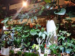 -缦云里花园餐厅
