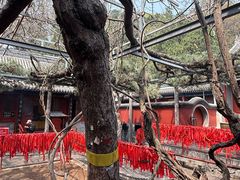 -红螺寺