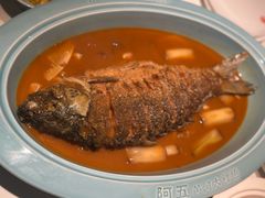 -阿五黄河大鲤鱼(英协路店)