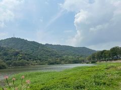 -风云岭森林公园