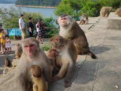 -广州市流溪河国家森林公园