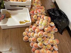 -南汇新场正宗水蜜桃采摘