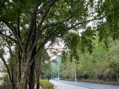 -孔雀湖生态旅游区