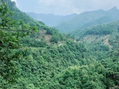 -石台牯牛降景区