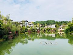 -铁山坪森林公园