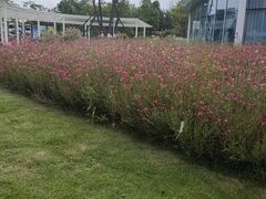 -府河摄影公园