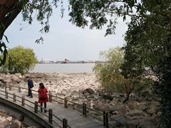 -上海吴淞炮台湾国家湿地公园