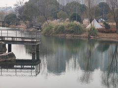 -贡湖湾湿地公园