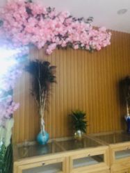 -翎兰瑜伽·普拉提