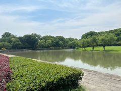 -上海方塔园