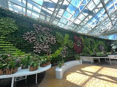 -石家庄市植物园
