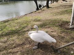 -沈阳森林动物园