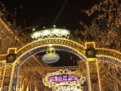 -人民防洪胜利纪念塔