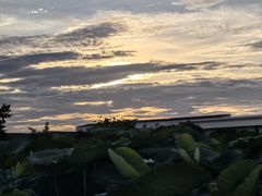 -润记农家菜