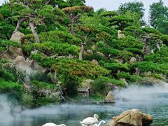 -罗红摄影艺术馆