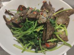 -壹盏灯(惠农店)