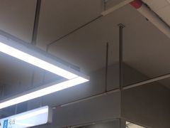 -东方体育中心(地铁站)