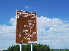 -御道口草原森林风景区