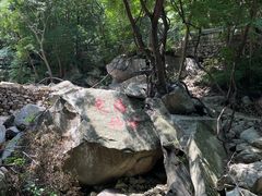 -洛阳花果山景区