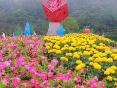 -东莞观音山旅游风景区