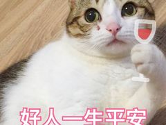 -上海市中医文献馆