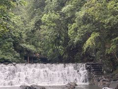 -石台牯牛降景区