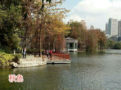 -荔湾湖公园