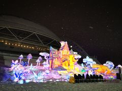 -沈阳奥体冰雪嘉年华