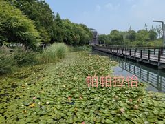 -阳澄湖费尔蒙酒店