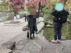 -成都市活水公园