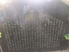 -上海佘山国家森林公园天马山园