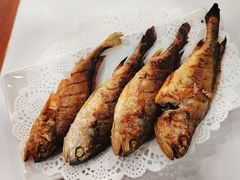 -韩阳园(绿波小区店)