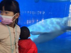-泉城欧乐堡海洋极地世界