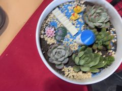 -北京之星奔驰4S店(亦庄店)