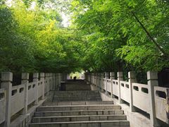 -抱犊寨风景区