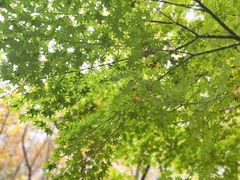 -崂山九水游览区
