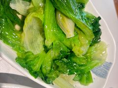 -三猫黑鱼花(南大店)