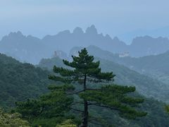 -黄山风景区