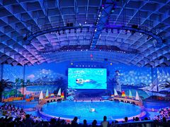 -海合安武汉极地海洋公园