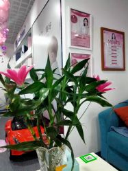 -蓝丝带产后恢复中心(于洪店)